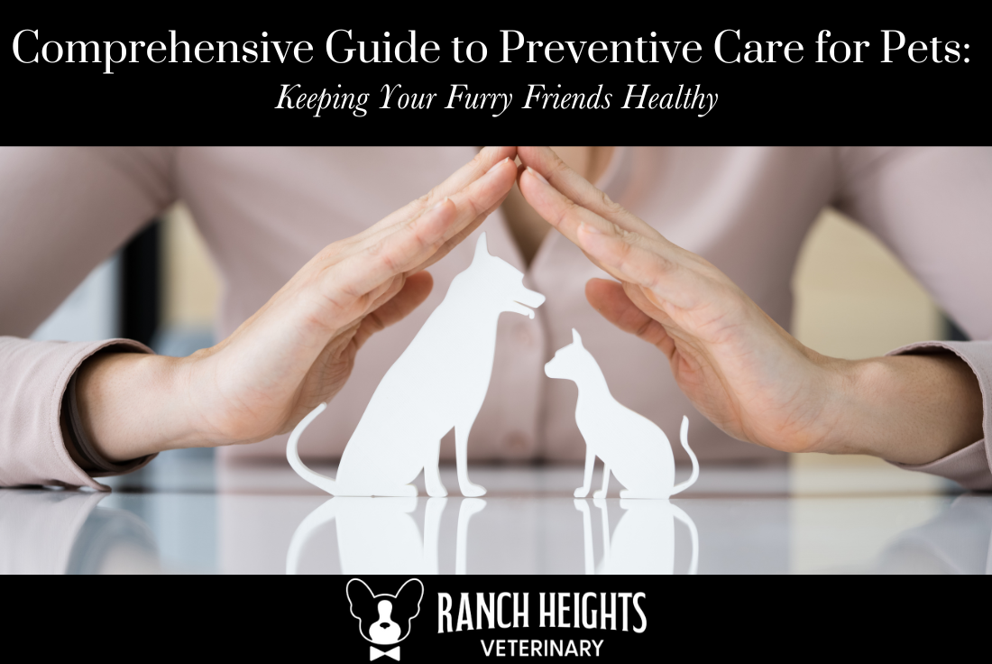 Comprehensive Guide to Preventive Care for Pets Keeping Your Furry Friends Healthy